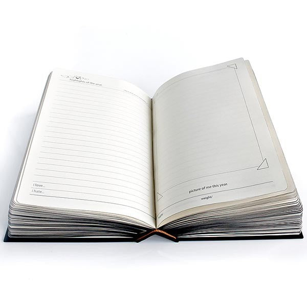Diary - My life Story