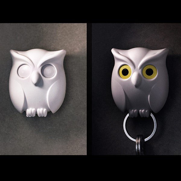 Key holder - Night Owl