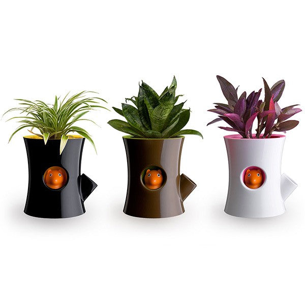 Self watering flowerpot - Black log and squirrel