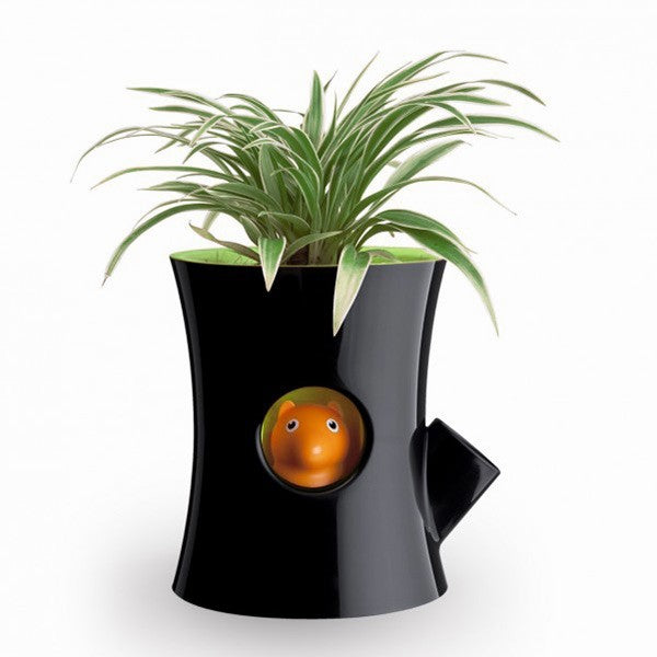 Self watering flowerpot - Black log and squirrel