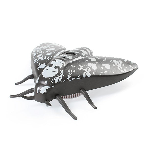 Detector de humo - Mosca