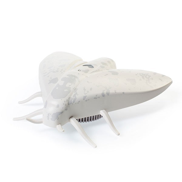 Detector de humo - Mosca