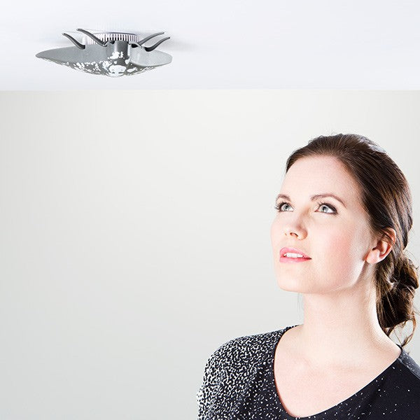 Detector de humo - Mosca