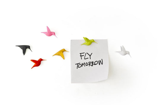 Fridge magnets - Hummingbirds