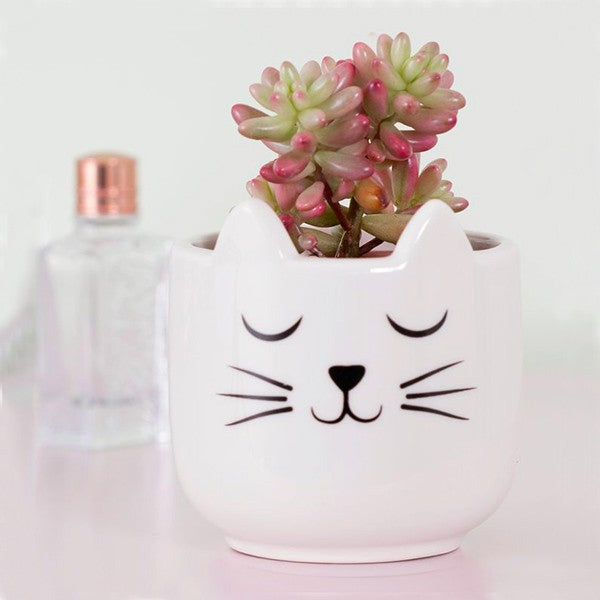 Small flower pot - Cat