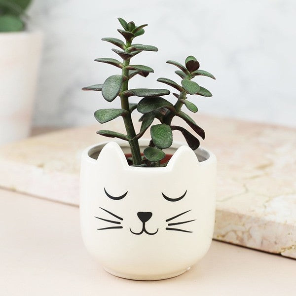 Small flower pot - Cat