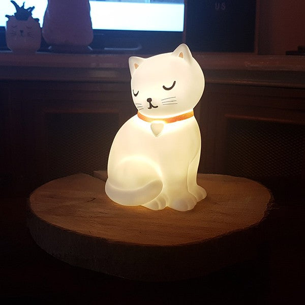 Luz nocturna - Gato