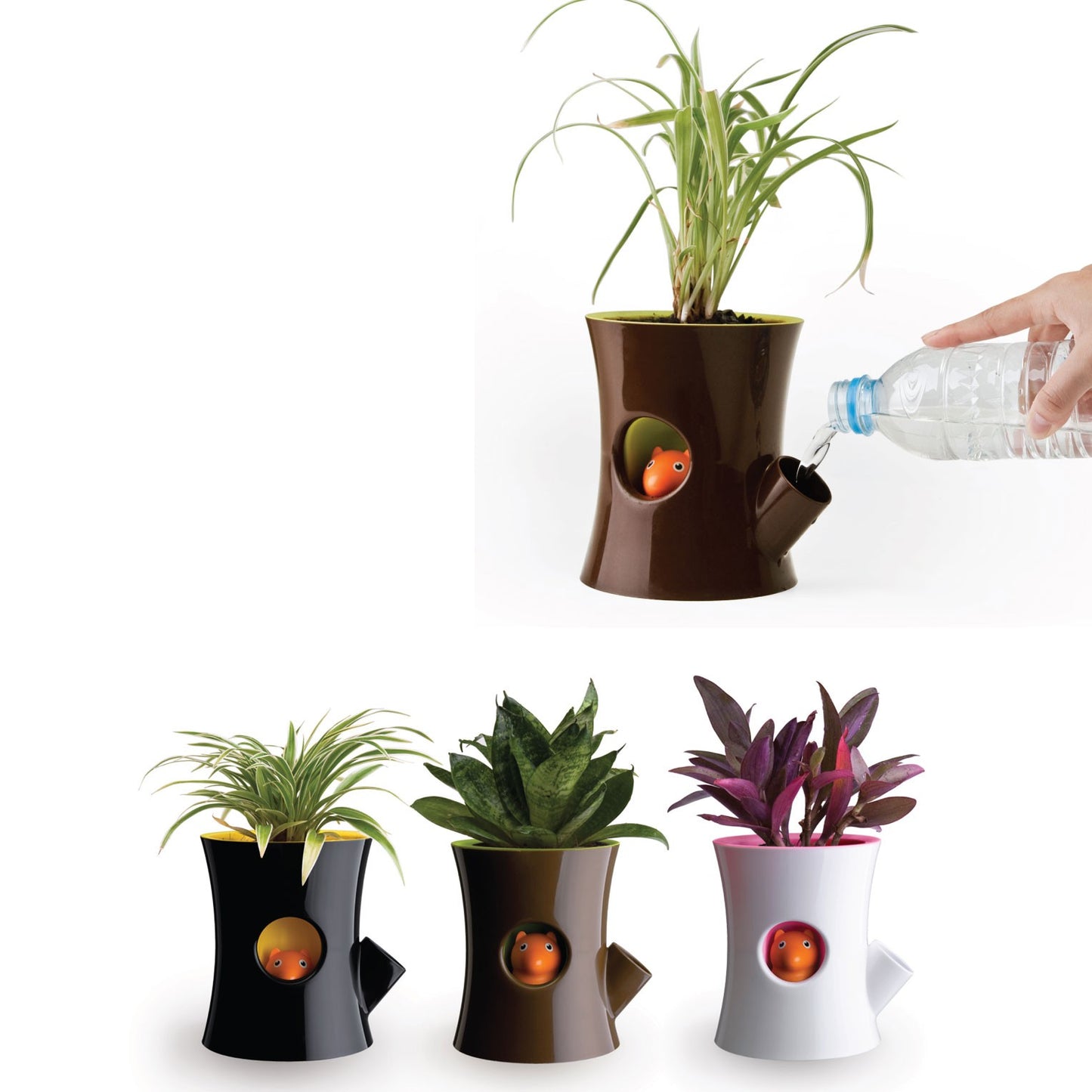 Self watering flowerpot - White log and squirrel