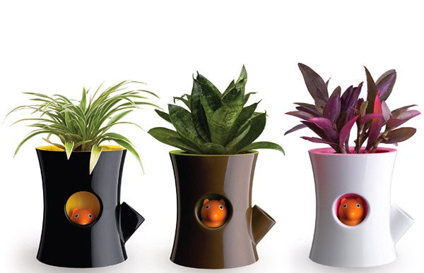Self watering flowerpot - White log and squirrel