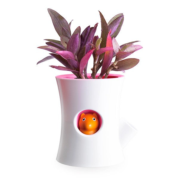 Self watering flowerpot - White log and squirrel