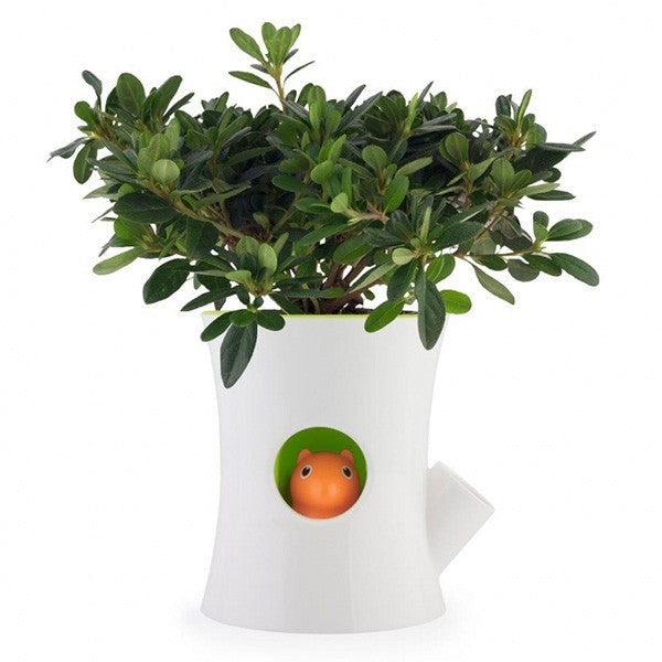 Self watering flowerpot - White log and squirrel