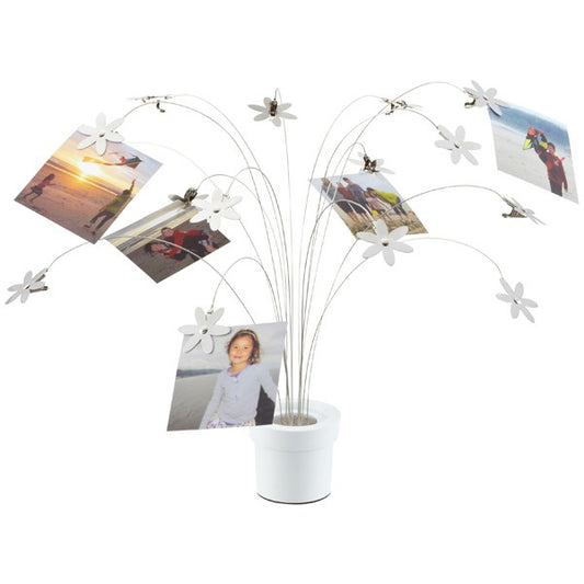 Photo display - Petal