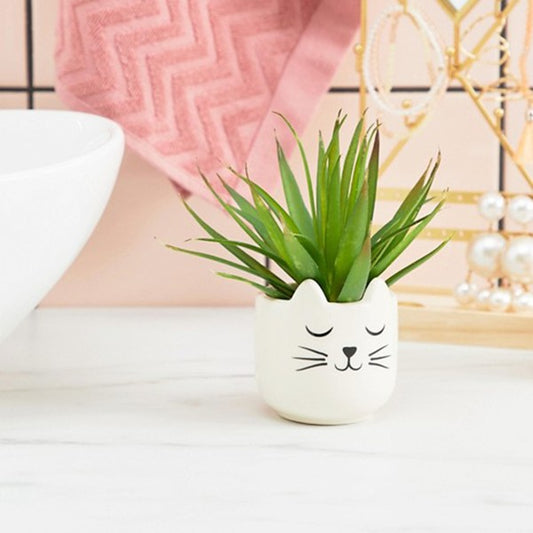 Mini Maceta - Gato